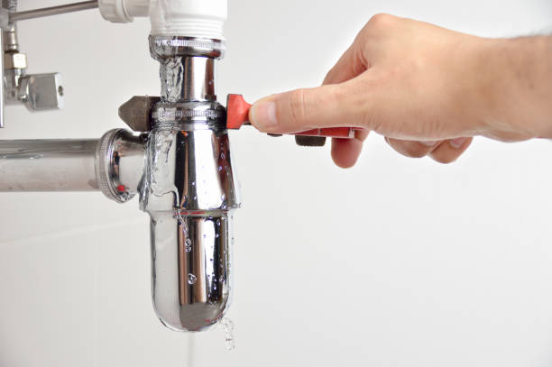 Best Leak Detection and Repair  in Wyoming, IL